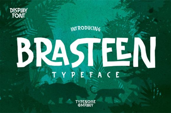 Brasteen Typeface Review