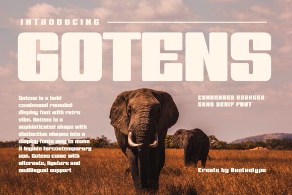 Gotens: A Bold Display Font for Web Design