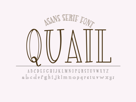 Quail Font: Playful Typography for Digital Campaigns